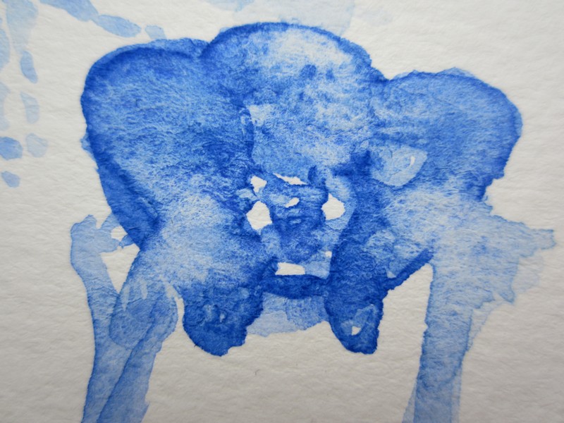 shiatsu bassin lille